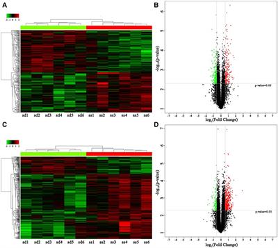 Bioinformatics analysis of lncRNA-related ceRNA networks in the peripheral blood lymphocytes of Kazakh patients with essential hypertension in Xinjiang